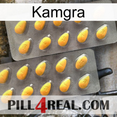 Kamgra cialis2